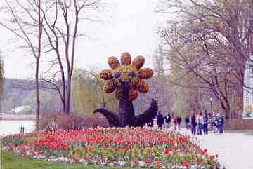 Mainau Gardens. Photo by Lisette Keating April, 2005